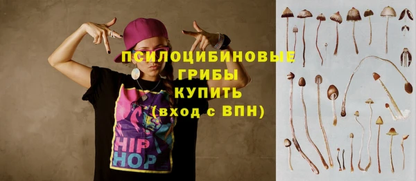 ПСИЛОЦИБИНОВЫЕ ГРИБЫ Алексин