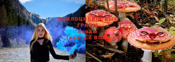 эйфоретик Алексеевка